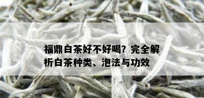 福鼎白茶好不好喝？完全解析白茶种类、泡法与功效