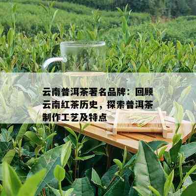 云南普洱茶著名品牌：回顾云南红茶历史，探索普洱茶制作工艺及特点