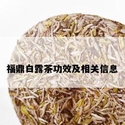 福鼎白露茶功效及相关信息