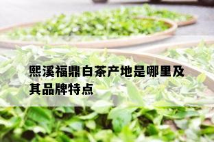 熙溪福鼎白茶产地是哪里及其品牌特点