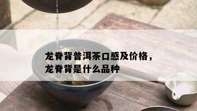 龙脊背普洱茶口感及价格，龙脊背是什么品种