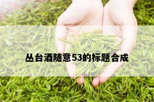 丛台随意53的标题合成