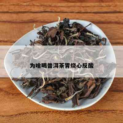 为啥喝普洱茶胃烧心反酸