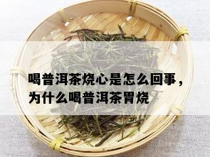 喝普洱茶烧心是怎么回事，为什么喝普洱茶胃烧