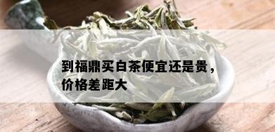 到福鼎买白茶便宜还是贵，价格差距大