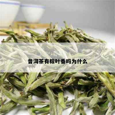 普洱茶有粽叶香吗为什么