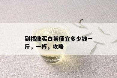 到福鼎买白茶便宜多少钱一斤，一杯，攻略