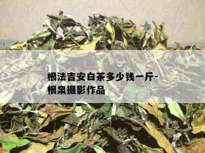 根法吉安白茶多少钱一斤-根泉摄影作品