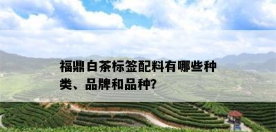 福鼎白茶标签配料有哪些种类、品牌和品种？