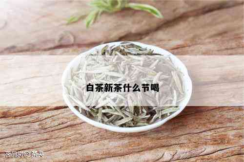 白茶新茶什么节喝