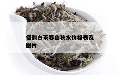 福鼎白茶春山秋水价格表及图片