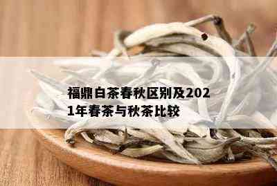 福鼎白茶春秋区别及2021年春茶与秋茶比较