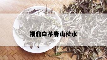 福鼎白茶春山秋水