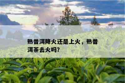 熟普洱降火还是上火，熟普洱茶去火吗？