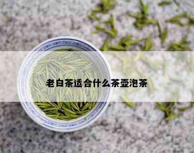 老白茶适合什么茶壶泡茶