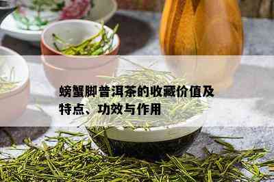 螃蟹脚普洱茶的收藏价值及特点、功效与作用