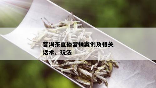 普洱茶直播营销案例及相关话术、玩法