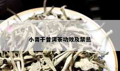 小青干普洱茶功效及禁忌