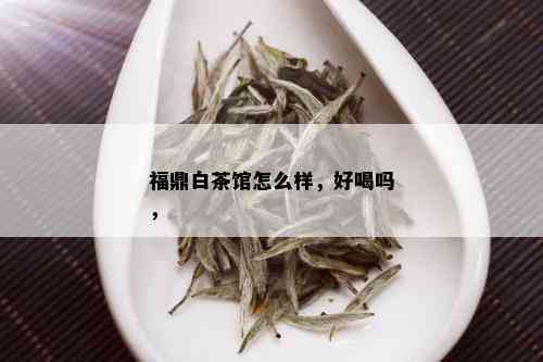 福鼎白茶馆怎么样，好喝吗，