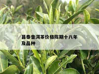 昌泰普洱茶价格陈期十八年及品种