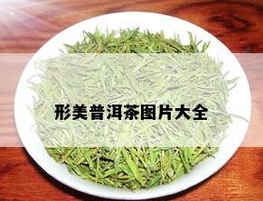 形美普洱茶图片大全