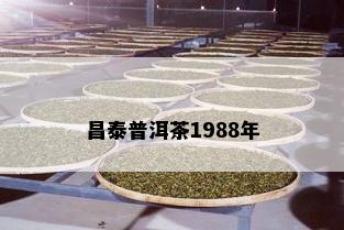 昌泰普洱茶1988年