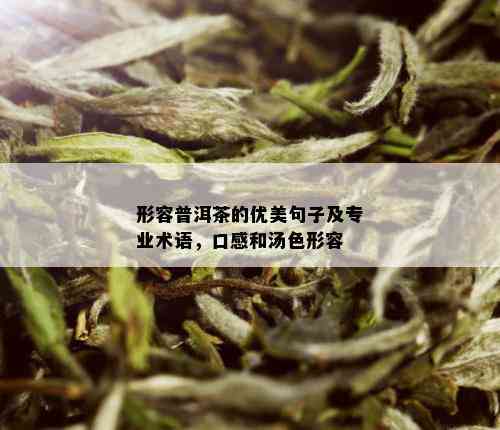 形容普洱茶的优美句子及专业术语，口感和汤色形容