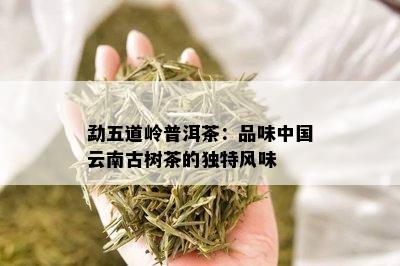 勐五道岭普洱茶：品味中国云南古树茶的独特风味