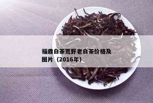 福鼎白茶荒野老白茶价格及图片（2016年）