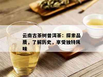 云南古茶树普洱茶：探索品质，了解历史，享受独特风味