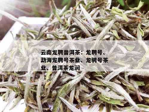 云南龙聘普洱茶：龙聘号、勐海龙聘号茶业、龙骋号茶业、普洱茶龙润