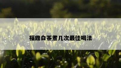 福鼎白茶煮几次更佳喝法