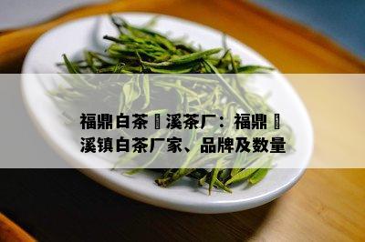 福鼎白茶磻溪茶厂：福鼎磻溪镇白茶厂家、品牌及数量