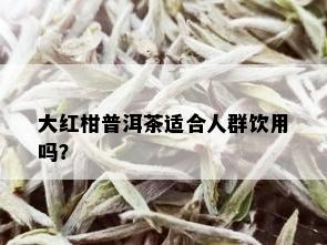 大红柑普洱茶适合人群饮用吗？