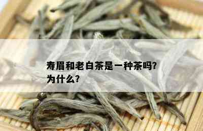 寿眉和老白茶是一种茶吗？为什么？