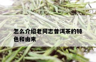 怎么介绍老同志普洱茶的特色和由来