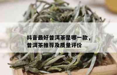 抖音更好普洱茶是哪一款，普洱茶推荐及质量评价