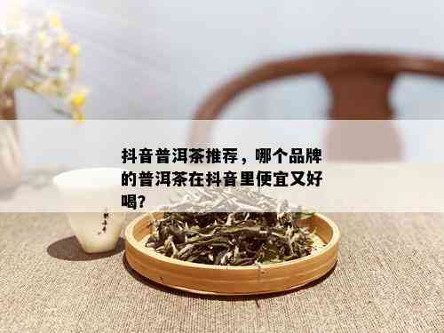 抖音普洱茶推荐，哪个品牌的普洱茶在抖音里便宜又好喝？