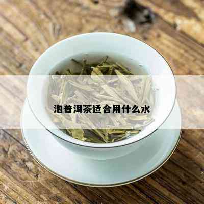 泡普洱茶适合用什么水