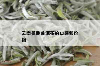 云南曼捌普洱茶的口感和价格