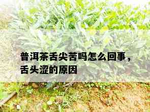 普洱茶舌尖苦吗怎么回事，舌头涩的原因