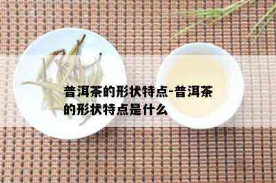 普洱茶的形状特点-普洱茶的形状特点是什么