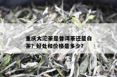 重庆大沱茶是普洱茶还是白茶？好处和价格是多少？