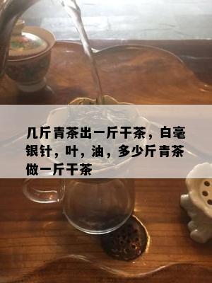 几斤青茶出一斤干茶，白毫银针，叶，油，多少斤青茶做一斤干茶