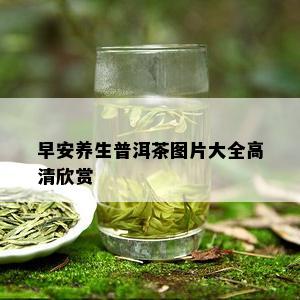 早安养生普洱茶图片大全高清欣赏