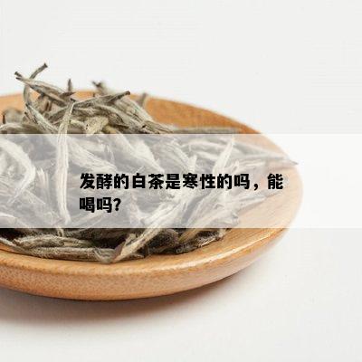 发酵的白茶是寒性的吗，能喝吗？