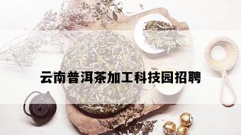 云南普洱茶加工科技园招聘