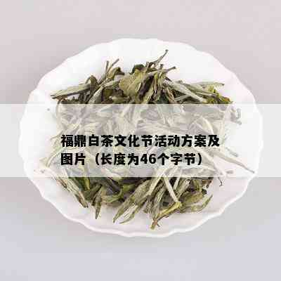 福鼎白茶文化节活动方案及图片（长度为46个字节）