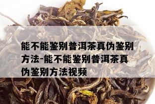 能不能鉴别普洱茶真伪鉴别方法-能不能鉴别普洱茶真伪鉴别方法视频