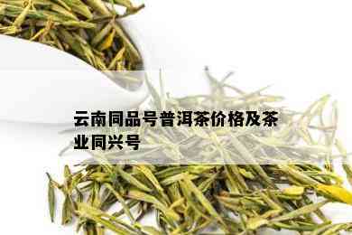 云南同品号普洱茶价格及茶业同兴号